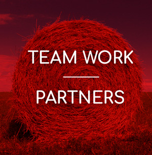 TEAM