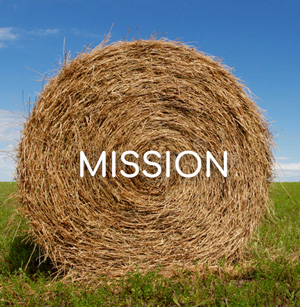 Mission